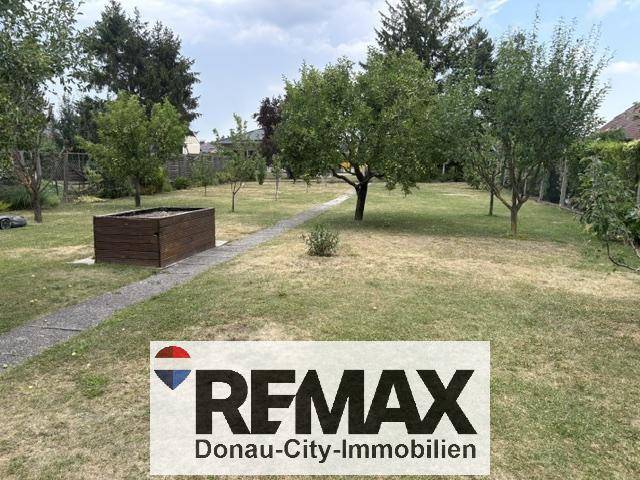 Großer Garten mit Rasenfläche und mehreren Obstbäumen.