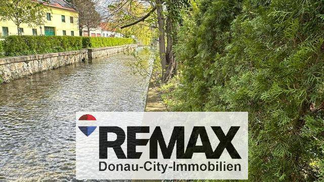 Malerischer Blick auf einen Kanal oder Fluss mit üppigem Grün am Ufer.