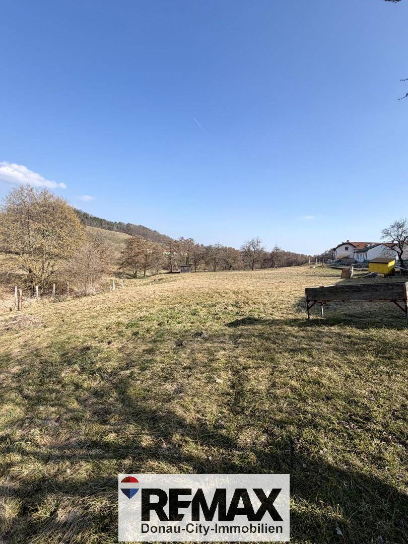 Weitläufige grüne Landschaft mit sanften Hügeln und Bäumen unter einem klaren blauen Himmel.