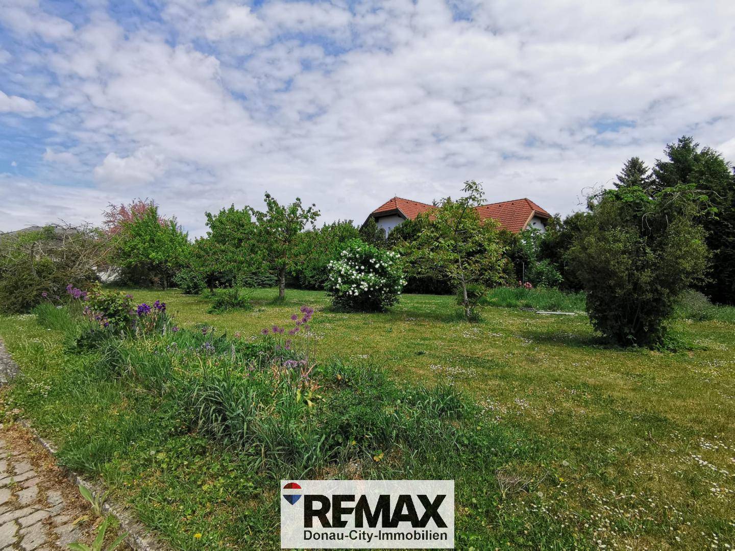 Weitläufiger Garten mit viel Grünfläche, Bäumen und Blick auf ein weiteres Gebäude.