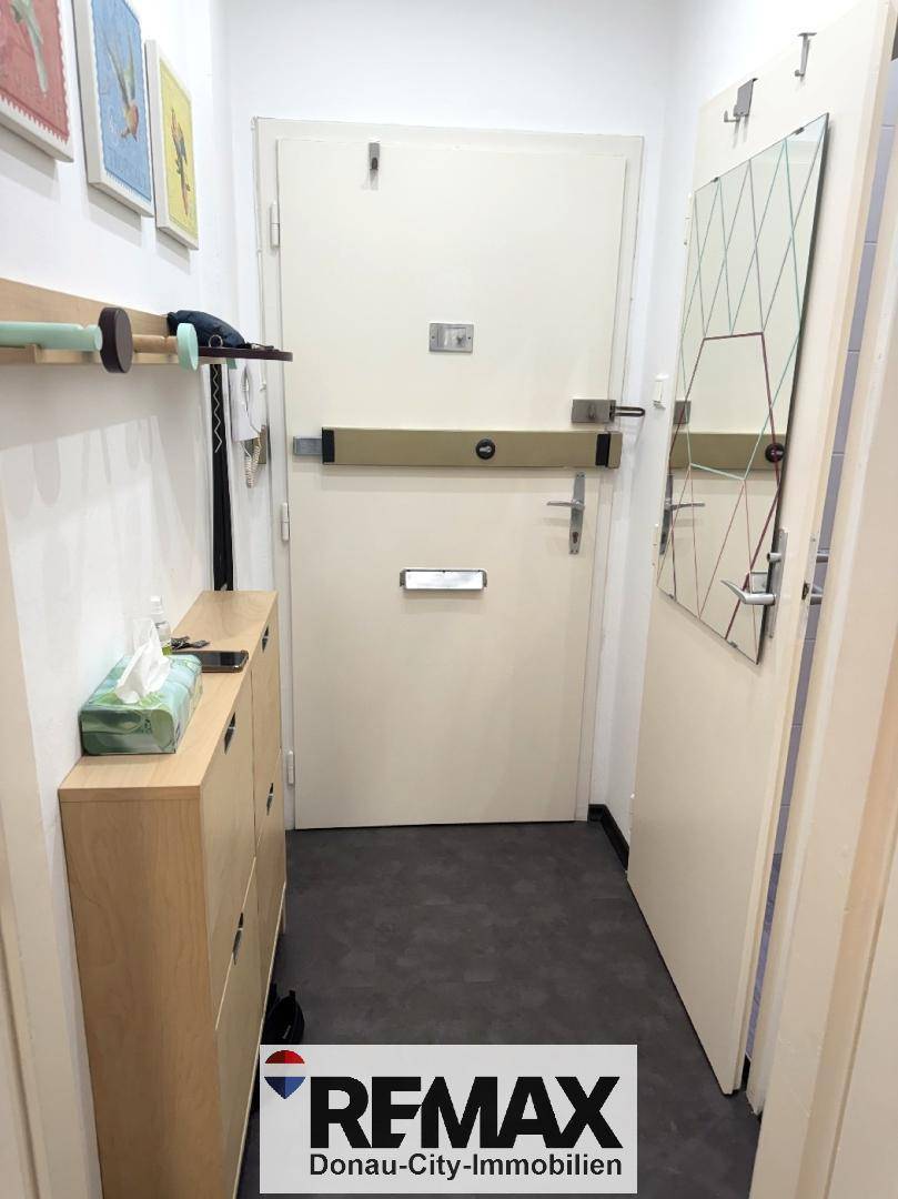 Eingangsbereich mit Sicherheitstür, Schuhschrank und Spiegel, ausgestattet mit dunklem Boden.