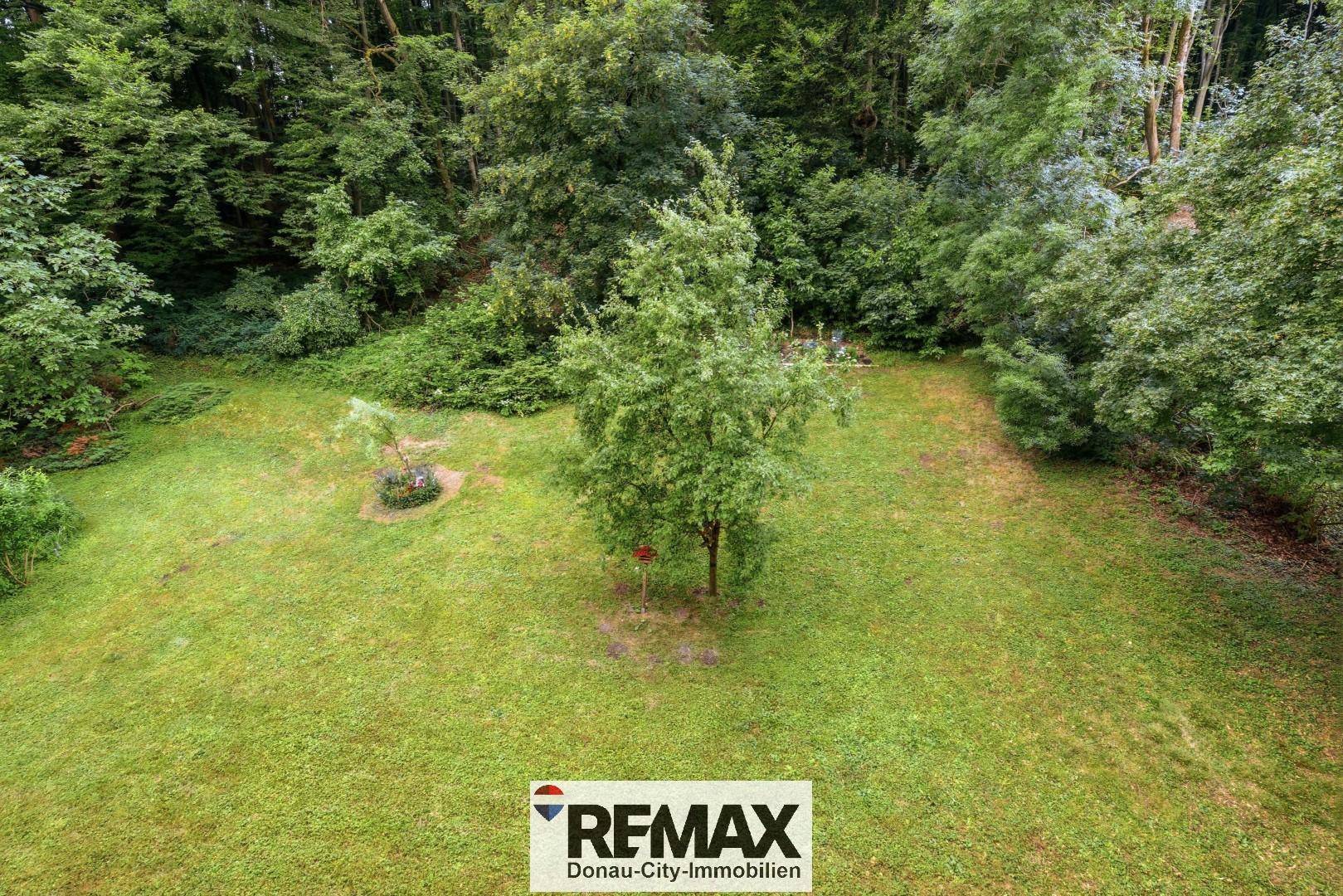 Großer, gepflegter Garten mit Rasenfläche und altem Baumbestand, umgeben von Natur.