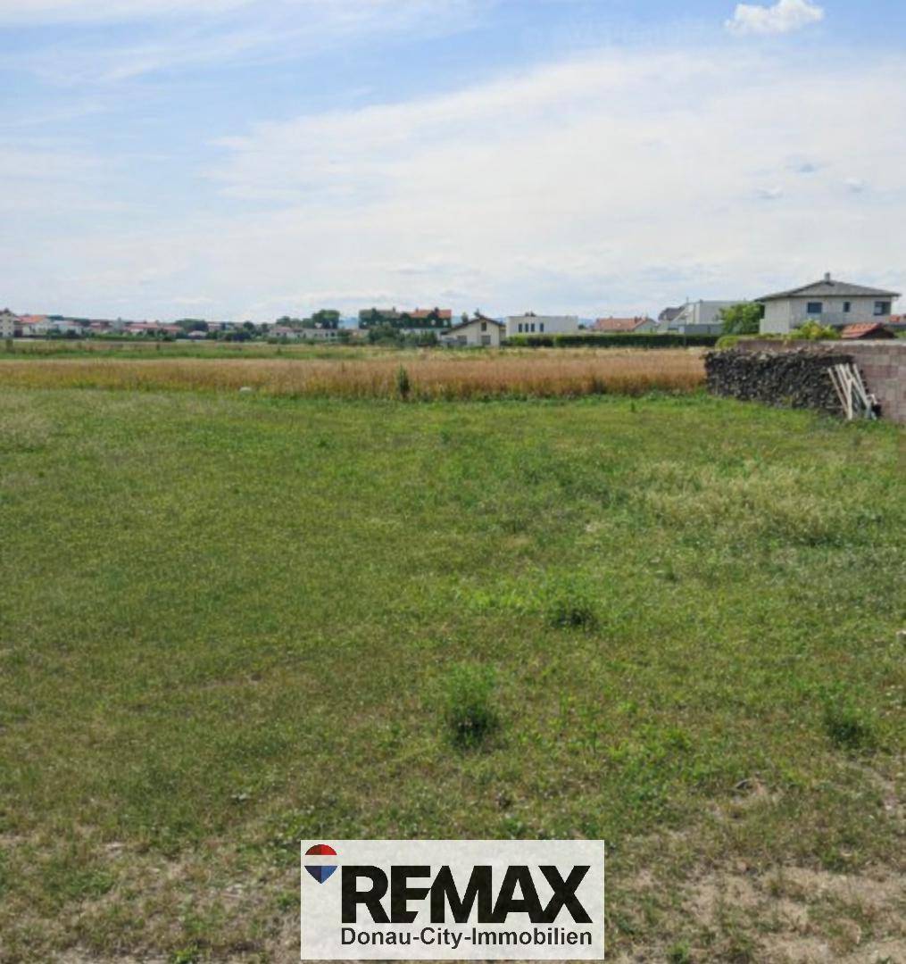 Grünes Grundstück mit weitem Blick über Felder und entfernte Häuser am Horizont.