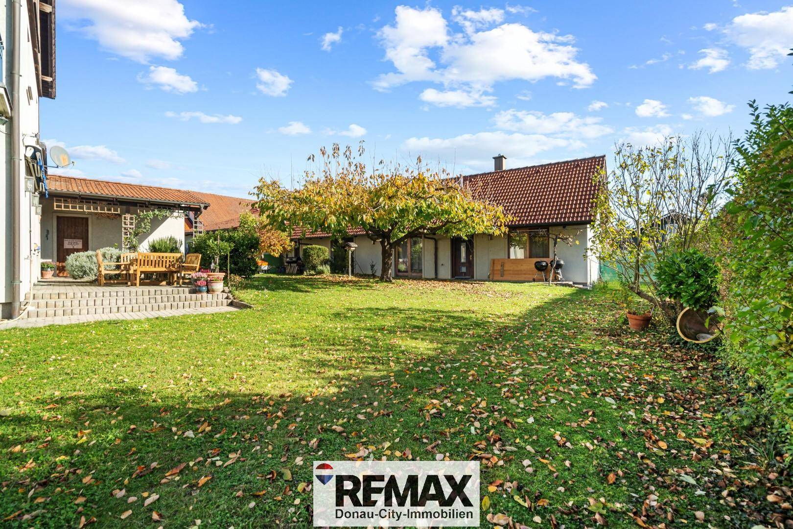 Großer grüner Garten mit Rasenfläche und einem Baum, ideal zum Spielen und Entspannen im Freien.