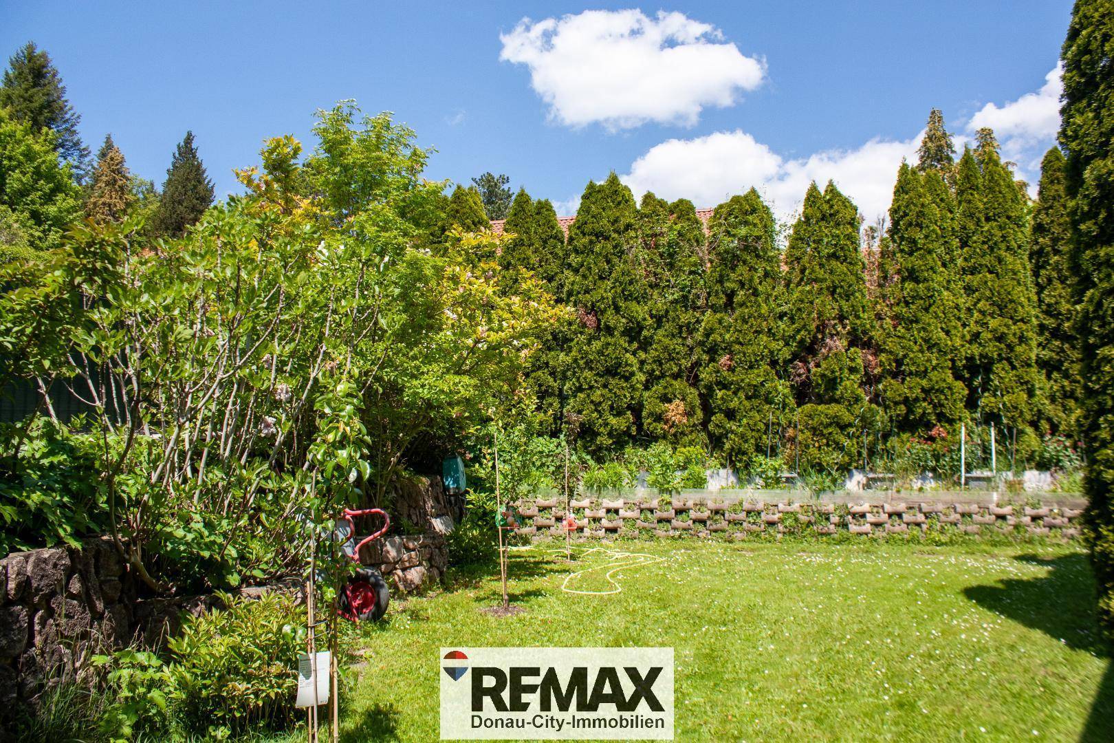 Gepflegter Garten mit Rasenfläche, hohen Hecken und jungen Bäumen unter blauem Himmel.