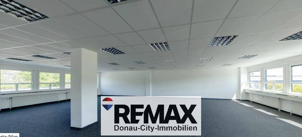 Helles und geräumiges Büro mit Teppichboden, Säule und vielen Fenstern, bereit zur individuellen Gestaltung.