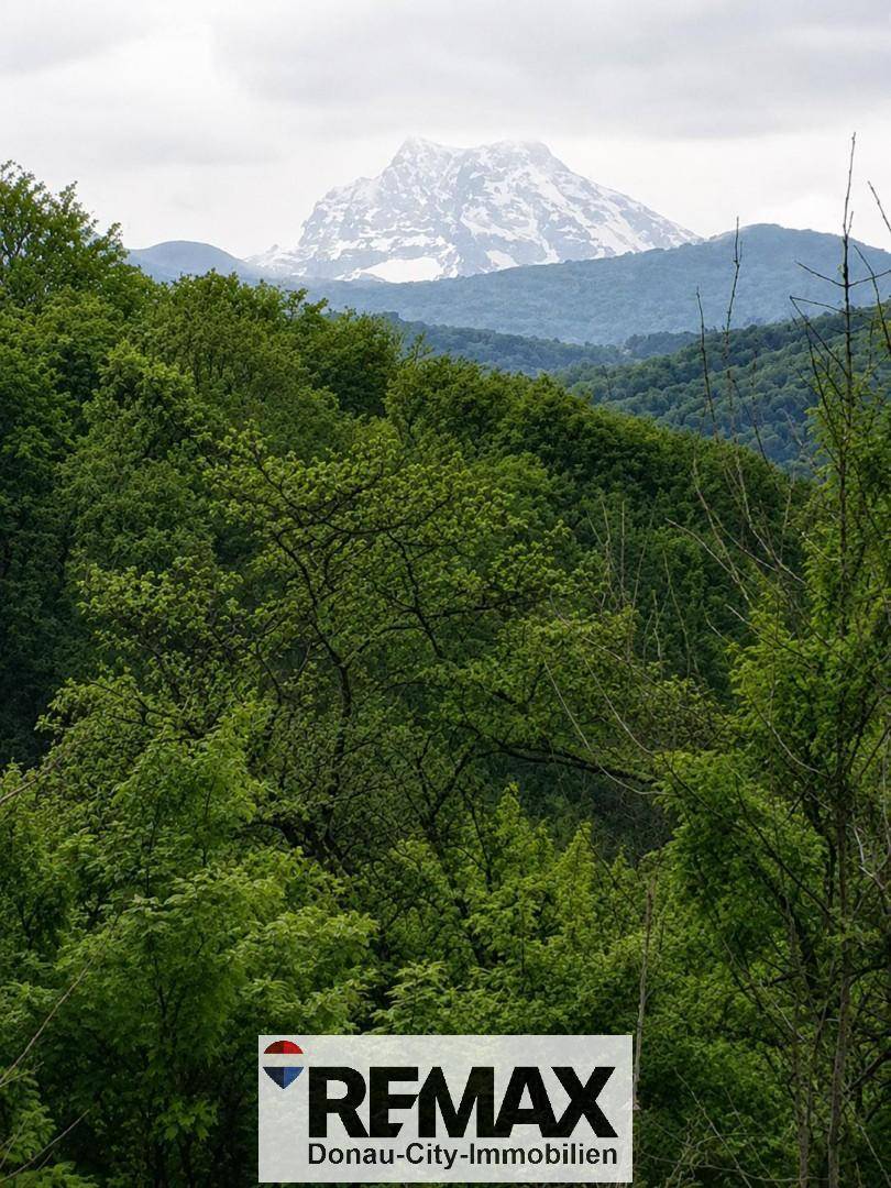 Malerischer Blick auf einen schneebedeckten Berg über einem dichten grünen Wald.