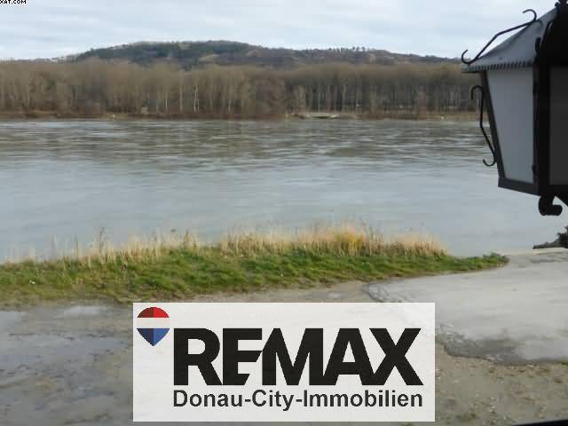 Blick auf die Donau und die bewaldeten Ufer von der Immobilie aus an einem trüben Tag.