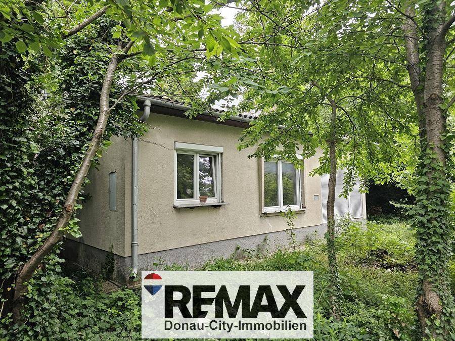 Rückseite des Einfamilienhauses mit Fenstern und Rollläden, umgeben von Bäumen und Bewuchs.