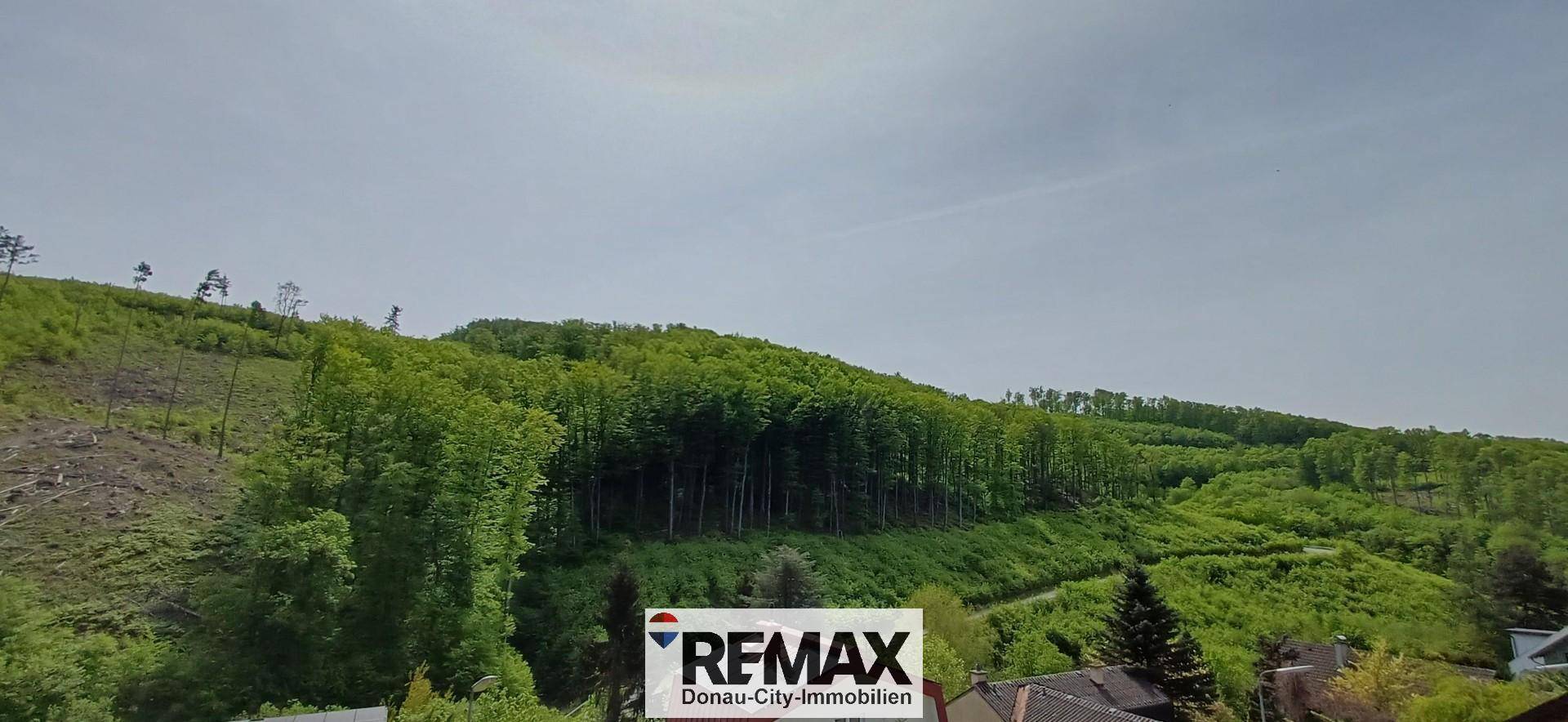 Weitläufiger Blick auf bewaldete Hügel und grüne Landschaft unter einem weiten Himmel.