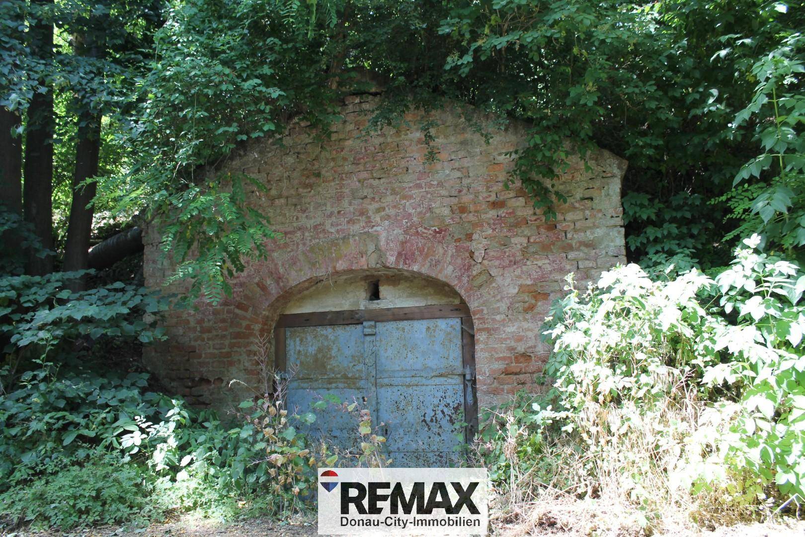 Historischer Kellerzugang aus Ziegelstein, umgeben von dichtem Bewuchs.