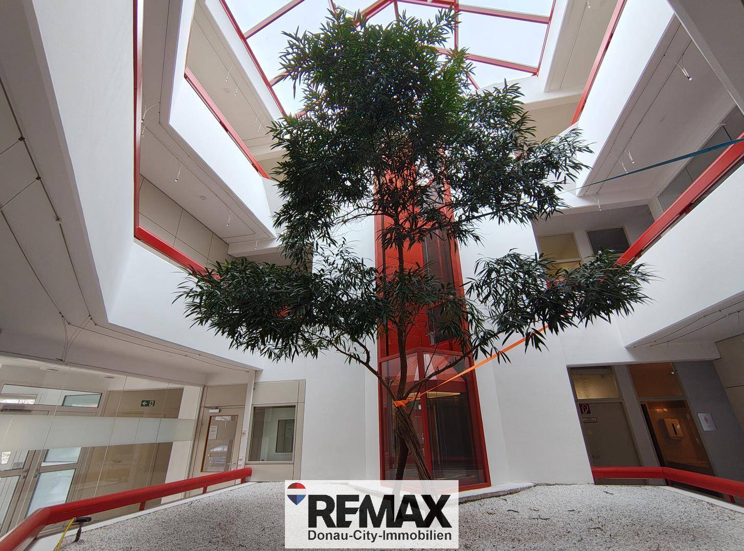 Beeindruckendes Atrium mit einem großen Baum, Glasdach und einem modernen Aufzug im Zentrum des Gebäudes.