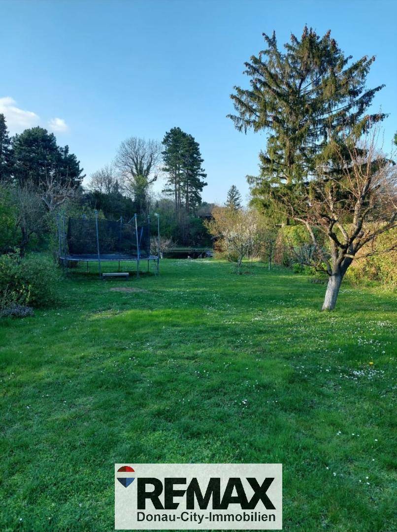 Große Rasenfläche im Garten mit einem Trampolin und hohen Bäumen unter blauem Himmel.