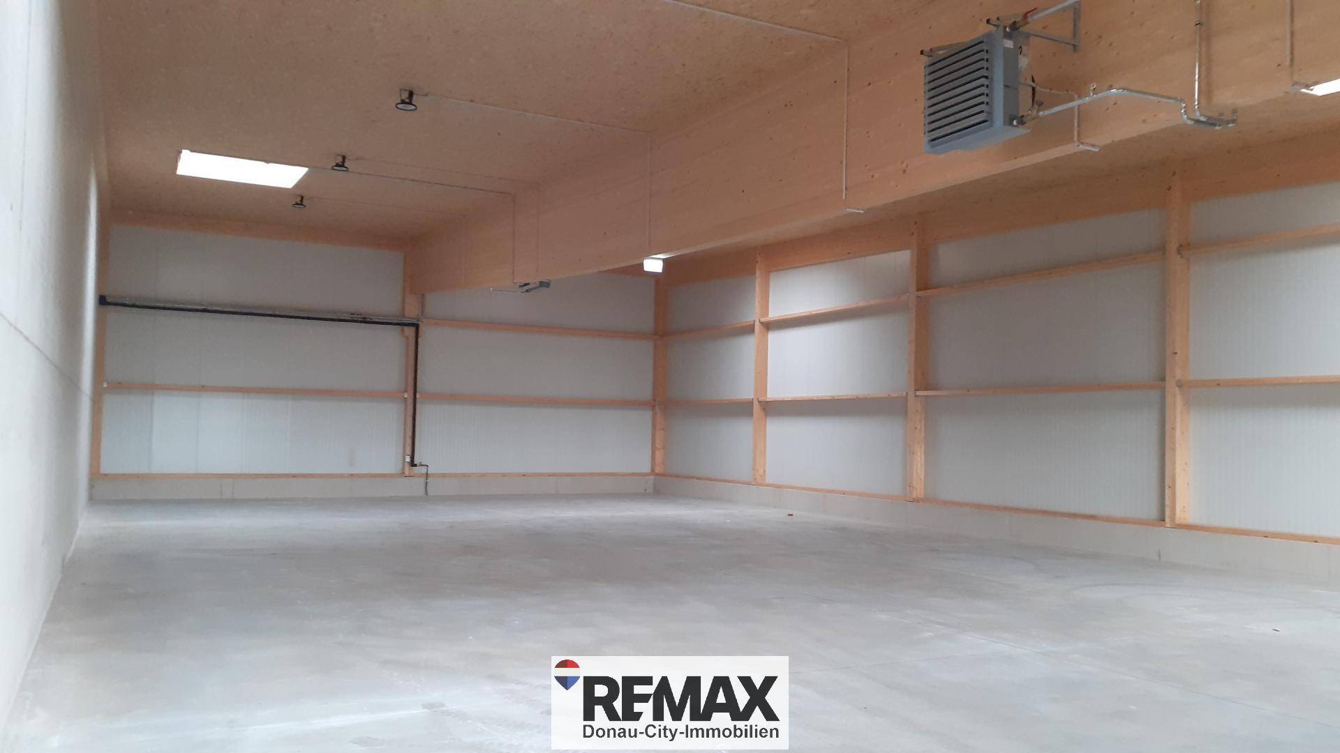 Geräumige, leere Lagerhalle mit hohen Holzdecken, Betonboden und natürlichem Lichteinfall durch Oberlichter.