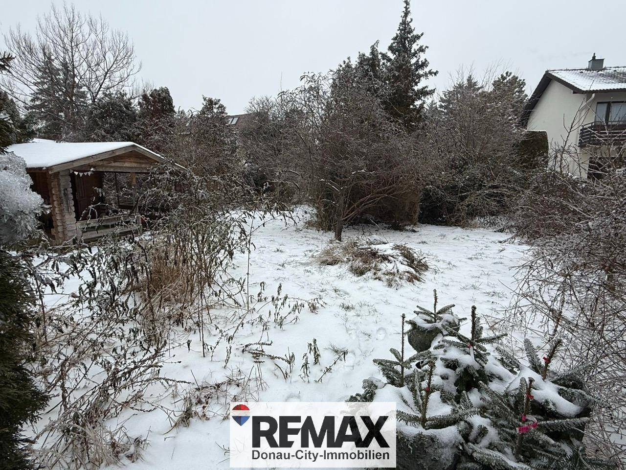 Großer, schneebedeckter Garten mit Bäumen und einem kleinen Gartenhaus im Hintergrund.