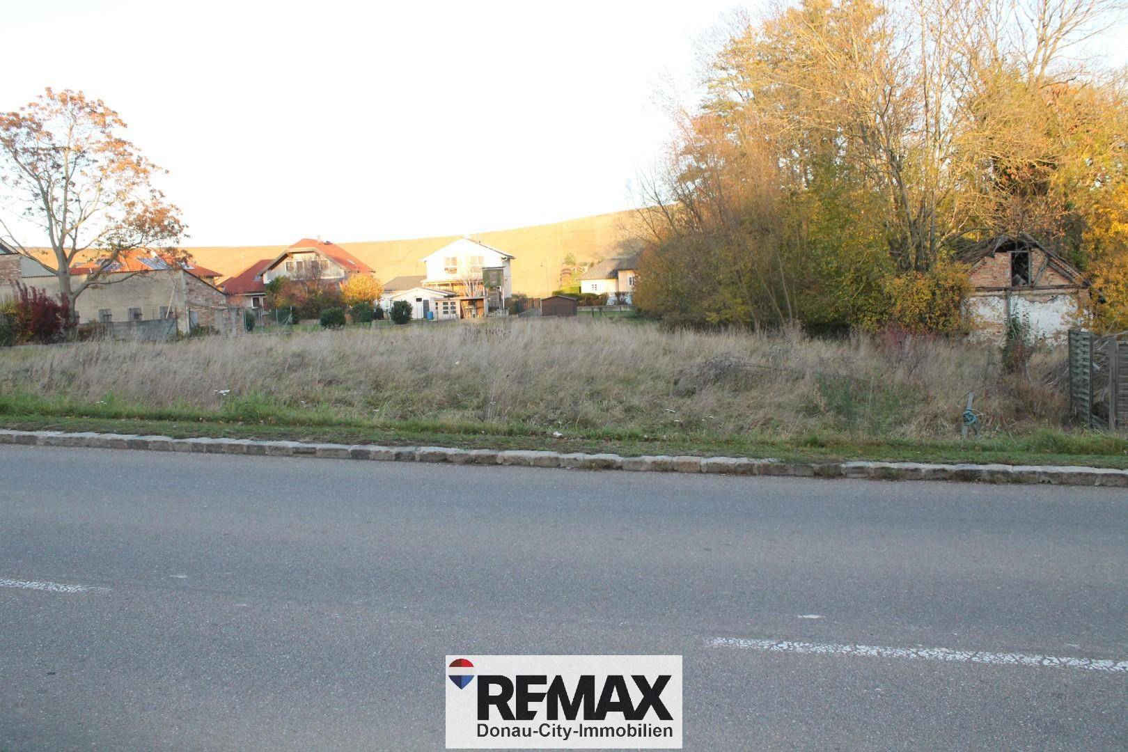 Blick auf das Baugrundstück von der angrenzenden Straße, umgeben von Natur und Häusern.