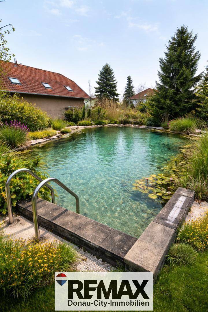 Natürlicher Schwimmteich mit Einstiegstreppe, umgeben von üppiger Bepflanzung und einem Wohnhaus im Hintergrund.