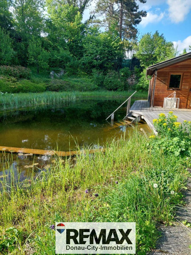 Natürlicher Teichbereich mit Holzsteg und einem kleinen Holzhaus, umgeben von grüner Vegetation.