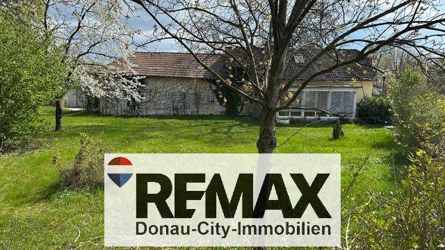 Gesamtansicht des Hauses mit großem Garten und blühenden Bäumen im Frühling.