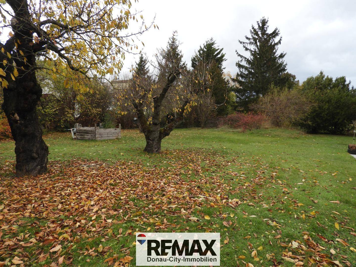 Großer Garten mit Rasenfläche, herbstlichem Laub und alten Bäumen, umgeben von Grün.