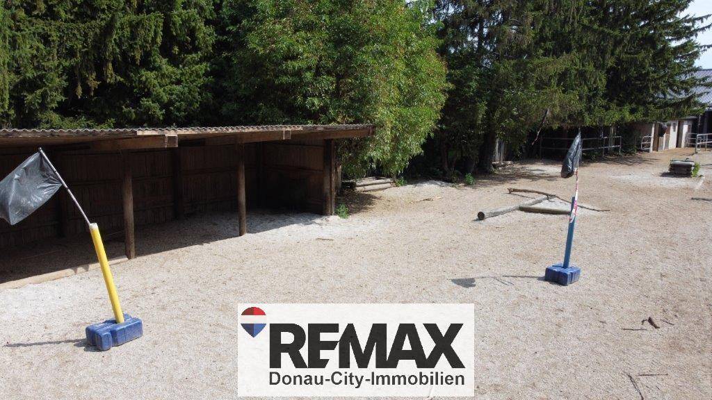 Detailansicht eines Sandplatzes mit einem einfachen Holzunterstand und umgebenden Bäumen.