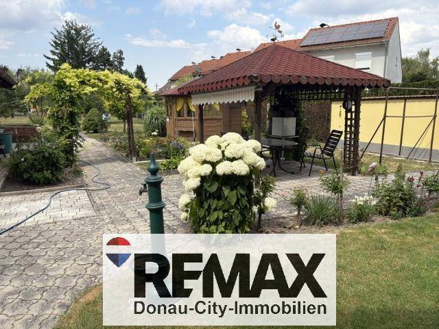 Gepflegter Garten mit Gartenlaube, Rasenfläche und blühenden Pflanzen.