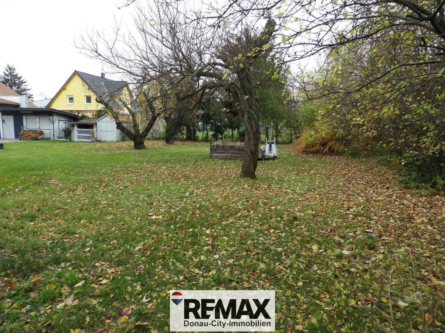 Weitläufiger Garten mit Rasen, Bäumen und Herbstlaub, im Hintergrund sind Häuser zu sehen.