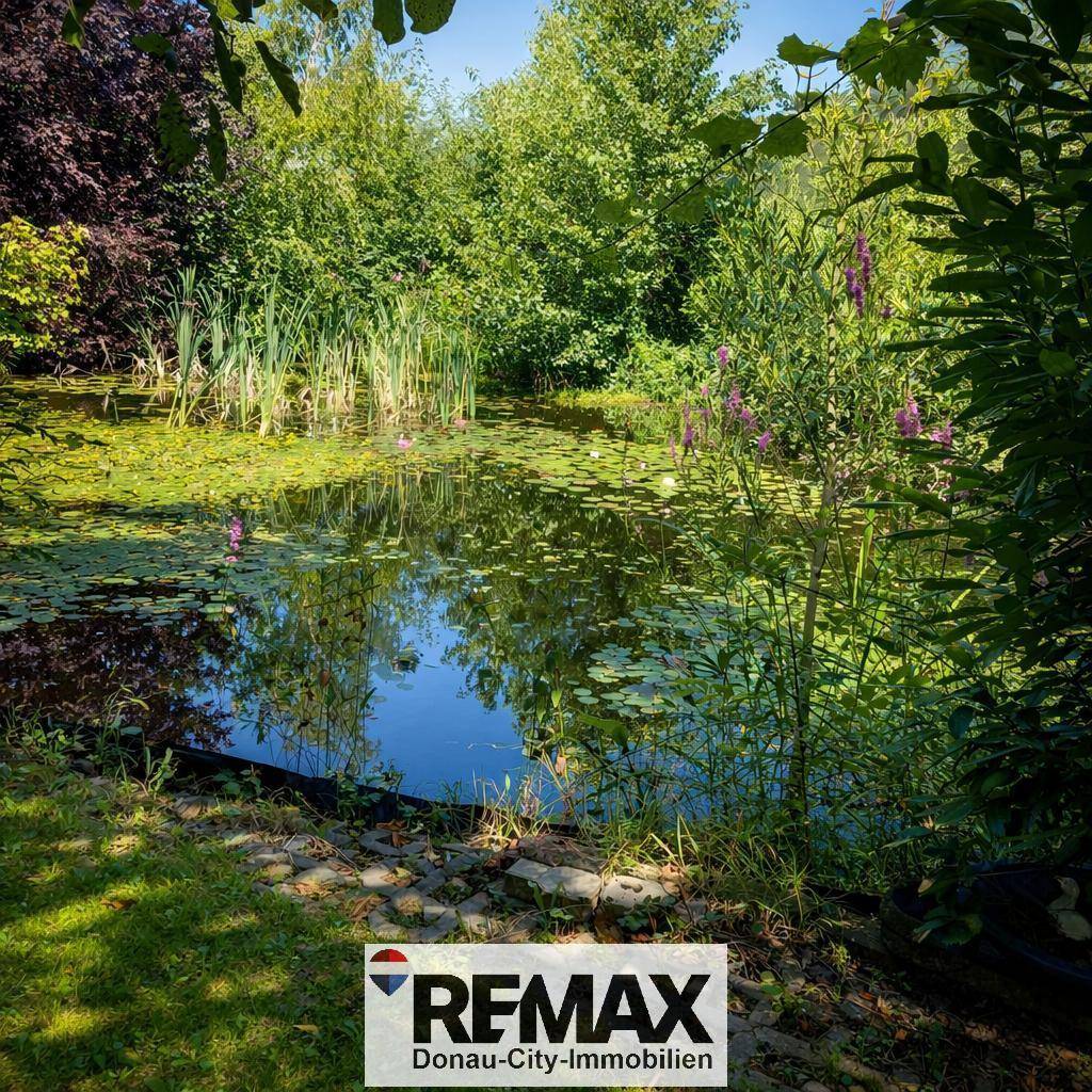 Idyllischer Gartenteich mit Seerosen und Schilf, umgeben von dichtem Grün und blühenden Pflanzen.