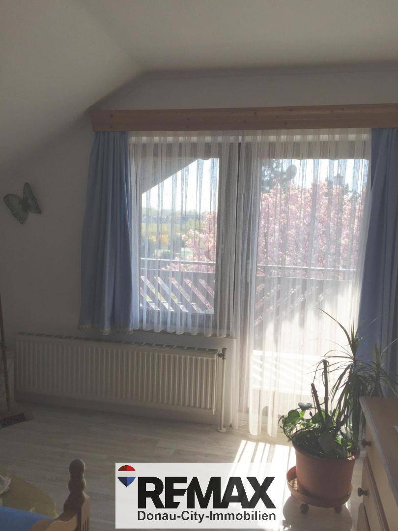 Großes Fenster mit Heizkörper und Ausblick auf blühende Bäume und die Umgebung.