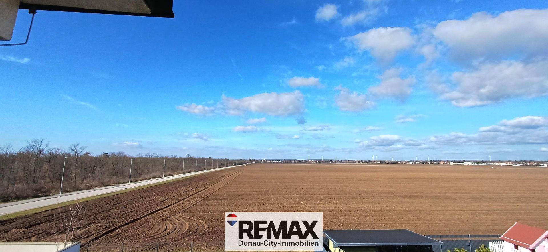 Weitläufiger Blick über landwirtschaftliche Felder unter blauem Himmel.