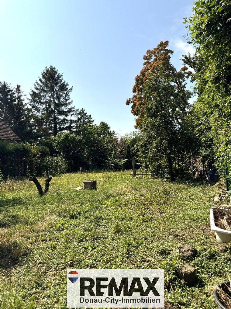 Großer, naturbelassener Gartenbereich mit viel Grün und altem Baumbestand, ideal für Erholung im Freien.