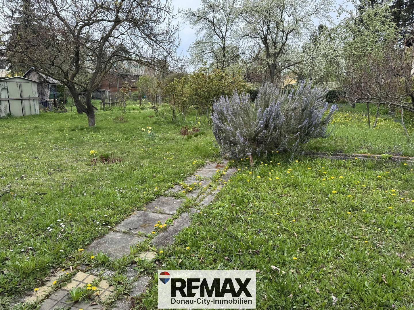 Naturbelassener Garten mit einem Steinweg, blühenden Pflanzen und einem kleinen Schuppen.