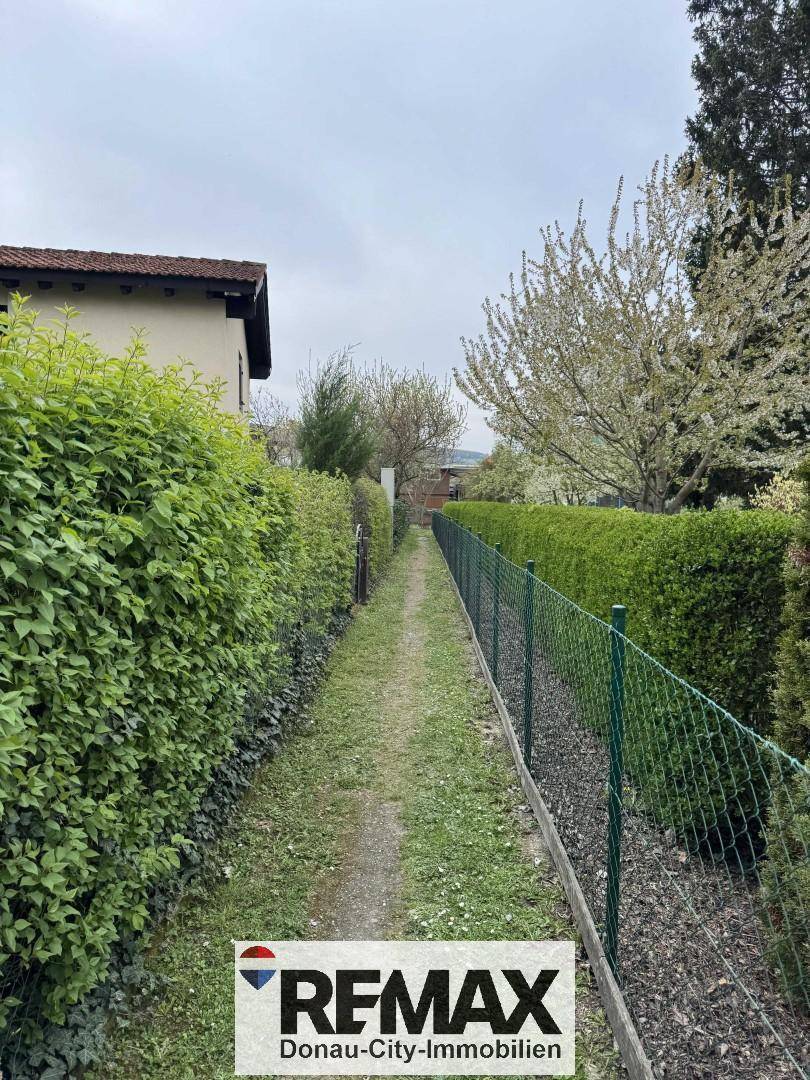 Schmaler Gartenweg zwischen hohen Hecken und einem Zaun, bietet Privatsphäre im Grünen.