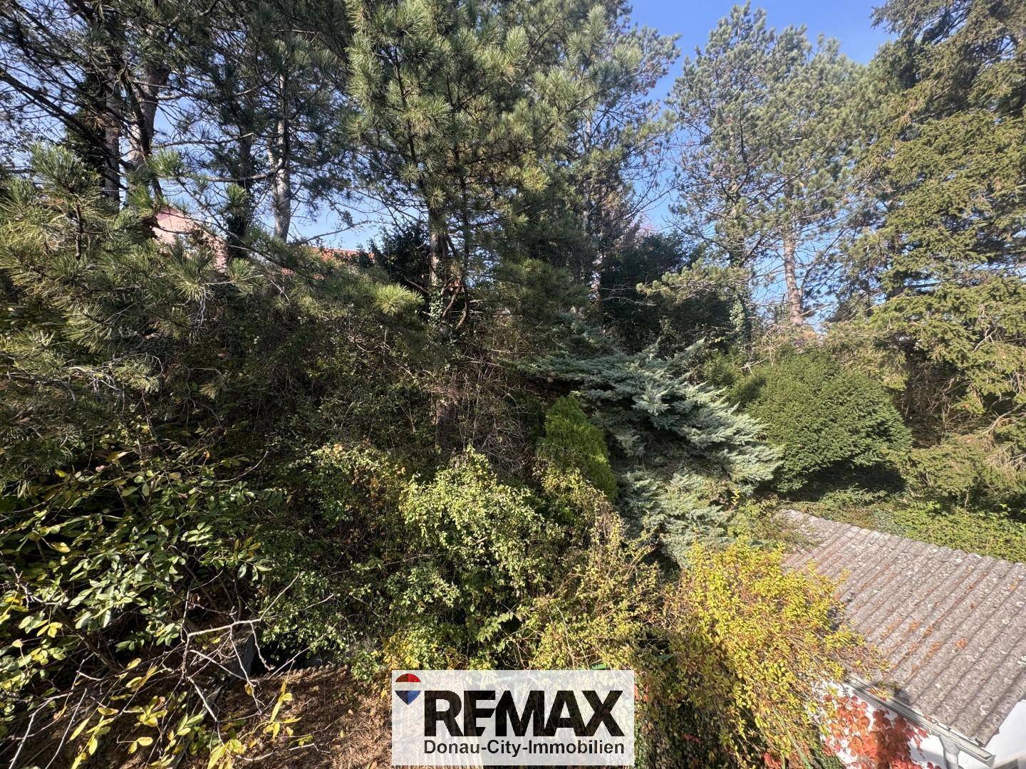 Dicht bewachsener Gartenbereich mit zahlreichen Bäumen und Sträuchern, die eine natürliche Umgebung schaffen.