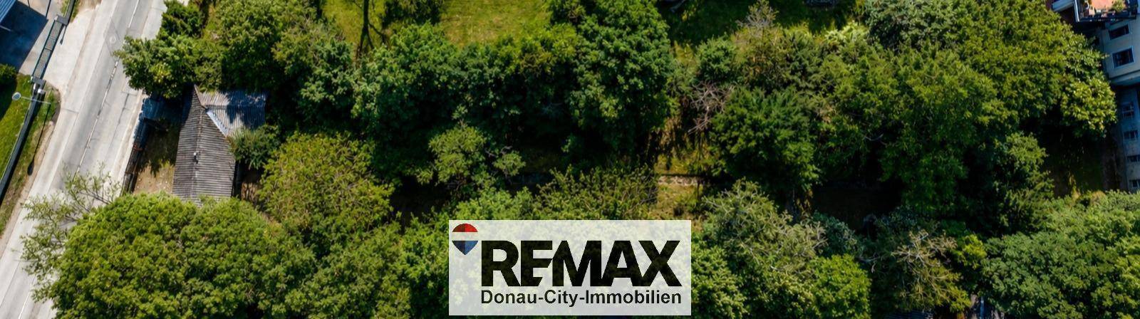 Luftaufnahme eines dicht bewachsenen Grundstücks mit vielen Bäumen und angrenzender Straße.
