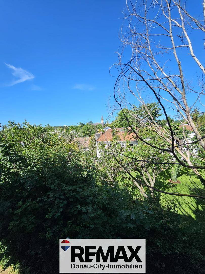 Weitblick über grüne Baumwipfel und Dächer einer Stadt unter blauem Himmel.
