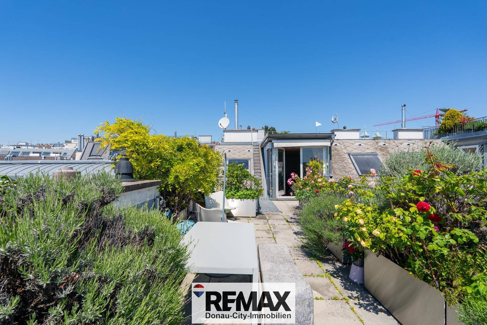 Weitläufige Dachterrasse mit vielfältiger Bepflanzung und Sitzgelegenheiten, umgeben von Stadtblick.