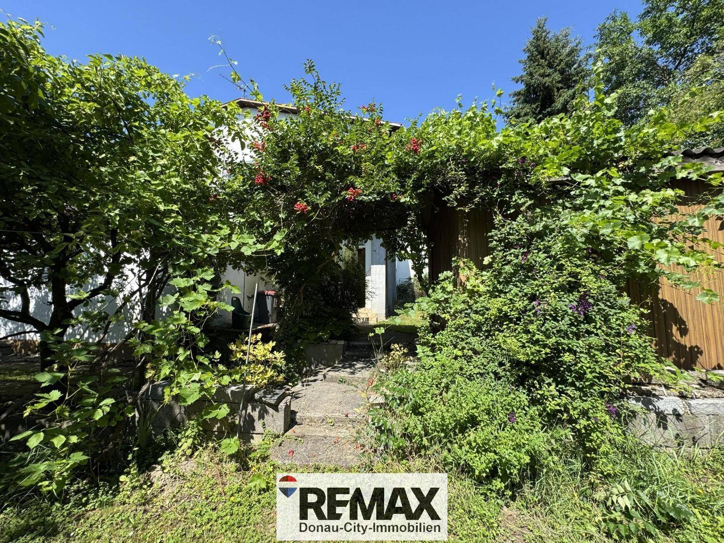 Verwunschener Gartenweg unter einem grünen Blätterbogen mit üppiger Vegetation.