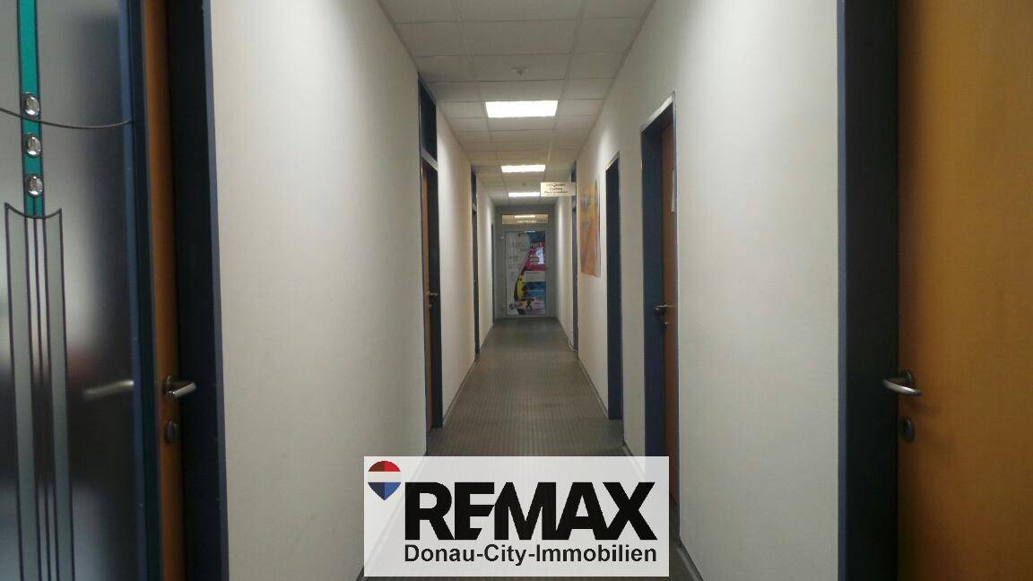 Langer Flur mit mehreren Türen zu Büroräumen und Deckenbeleuchtung.