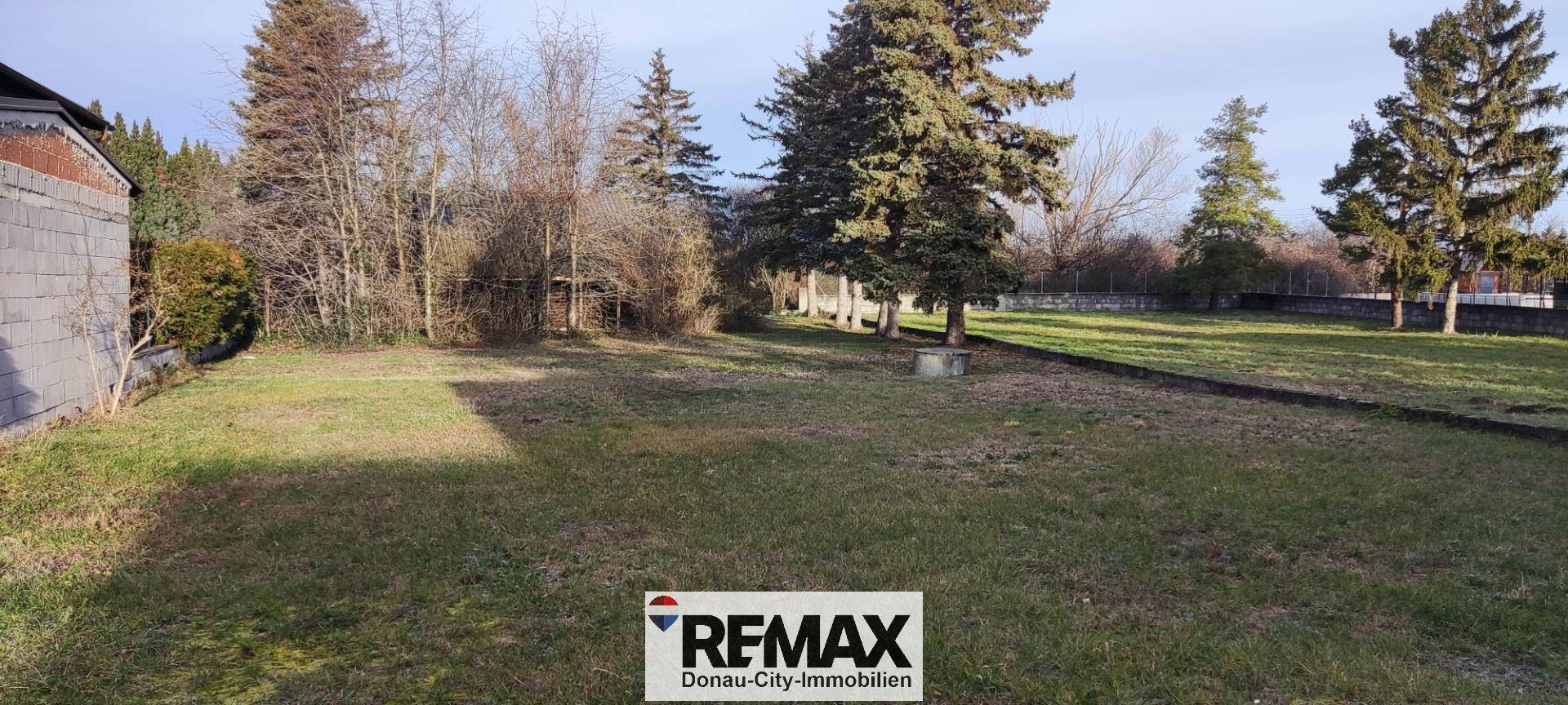 Weitläufige Grünfläche mit Rasen, Bäumen und viel Potenzial für Gartengestaltung.