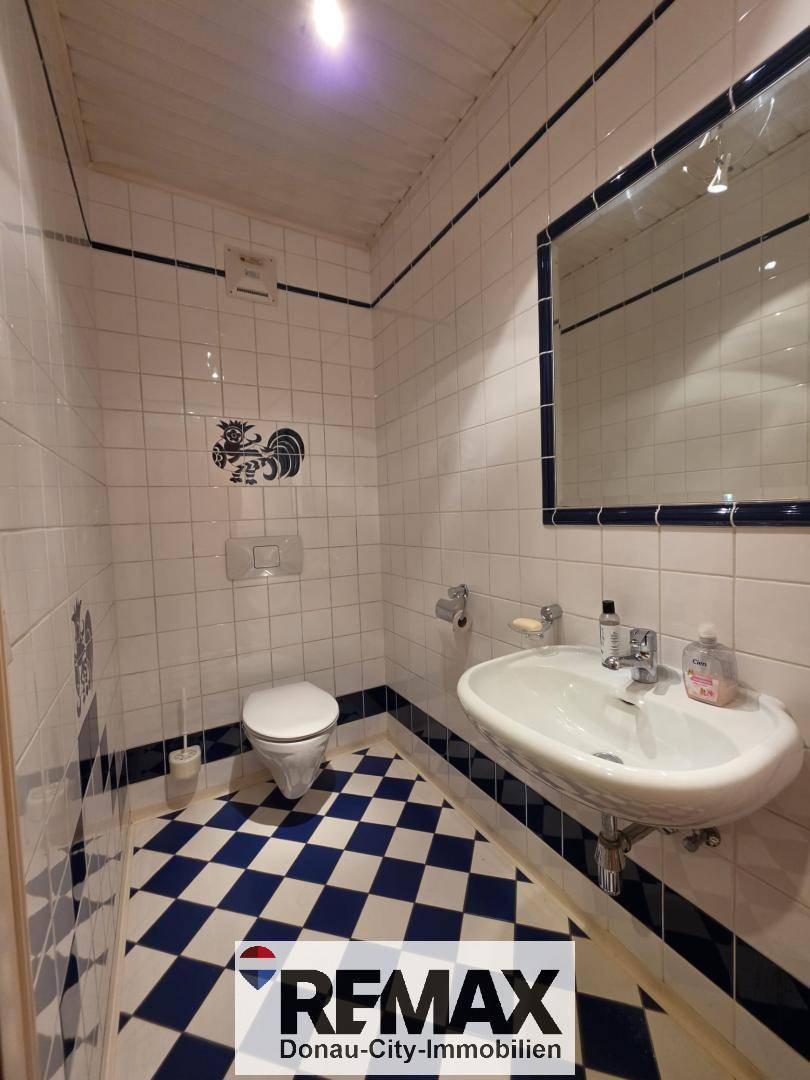 Kleines Gäste-WC mit auffälligen blau-weißen Fliesen und Wandspiegel.