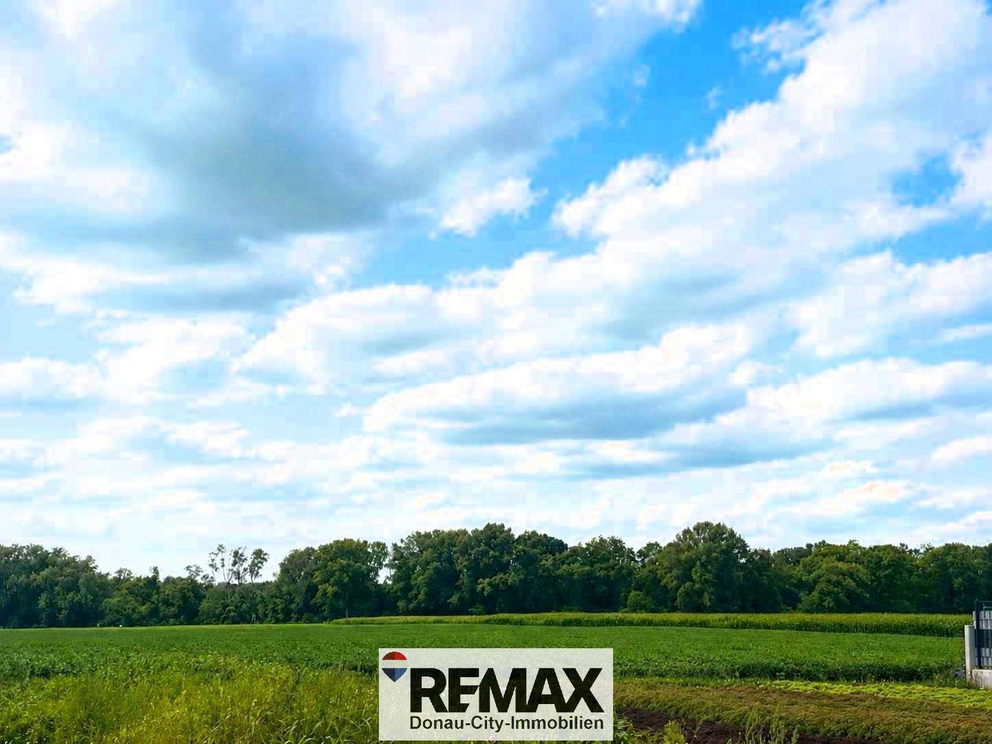 Weite grüne Felder mit Baumreihen am Horizont unter einem hellblauen Himmel mit Wolken.