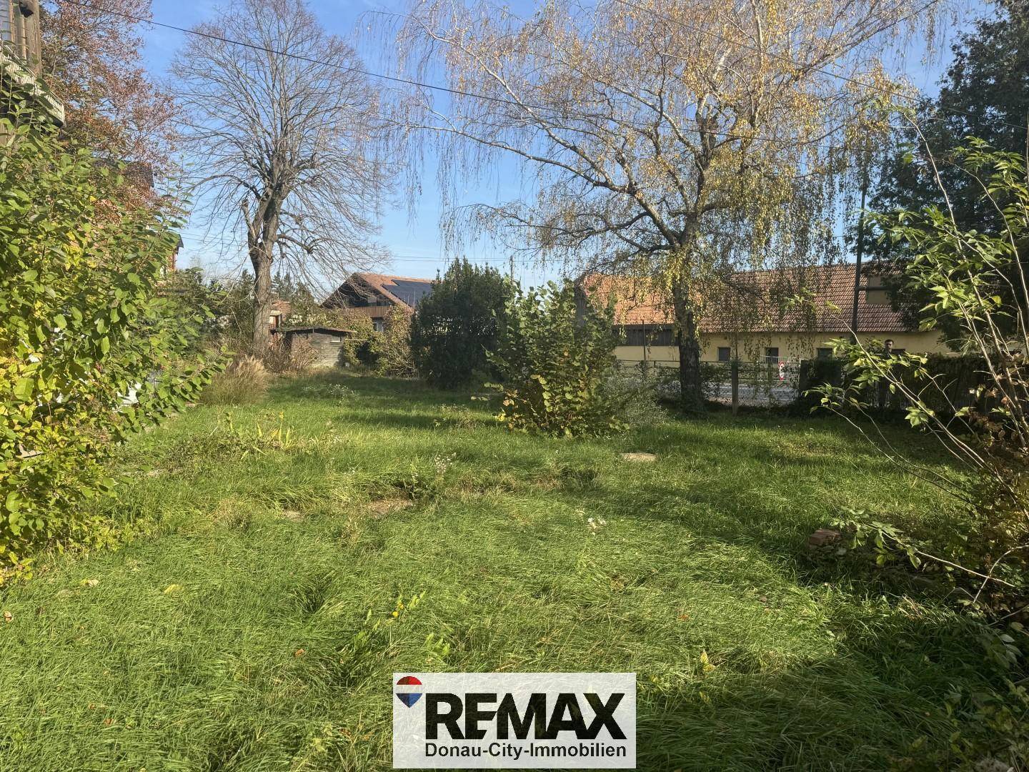 Weitläufiger Gartenbereich mit altem Baumbestand und Blick auf weitere Gebäude in der Ferne.