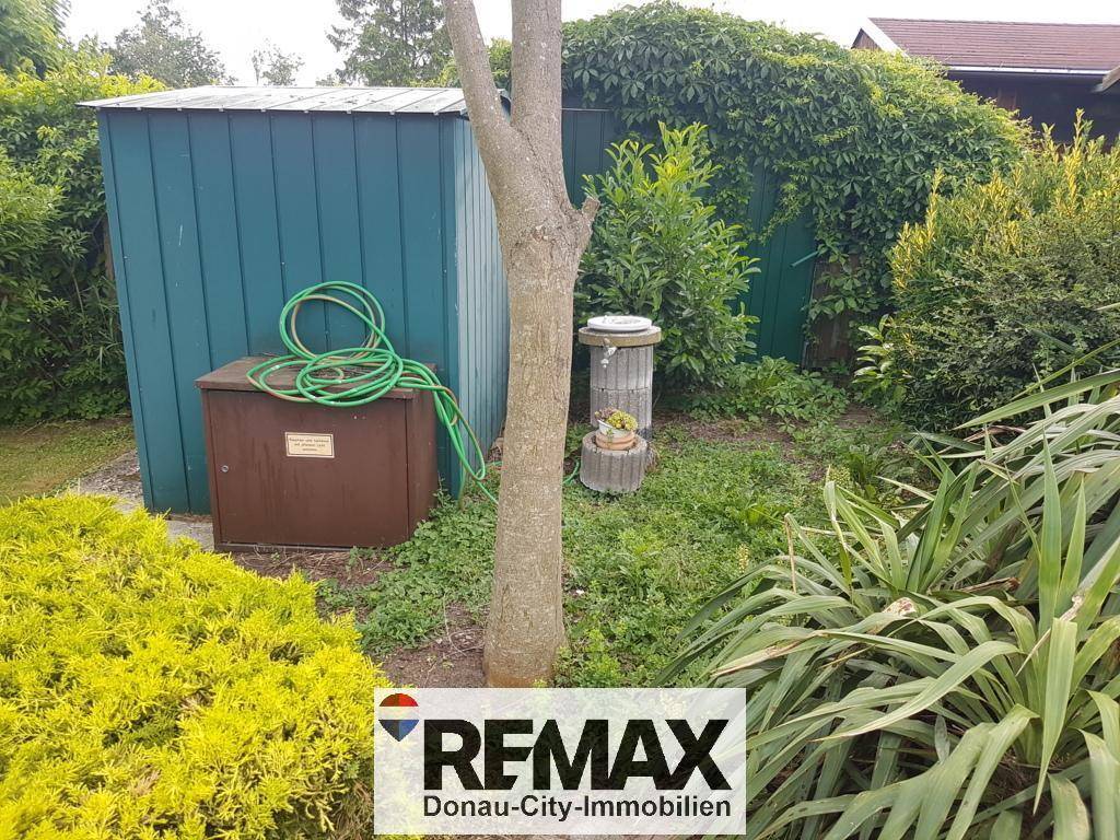 Gartenbereich mit einem Geräteschuppen, Pflanzen und einem Baumstamm.
