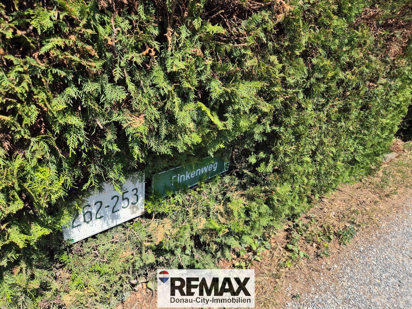 Straßenschilder 'Finkenweg' und Hausnummern '262-253' eingebettet in eine dichte grüne Hecke.