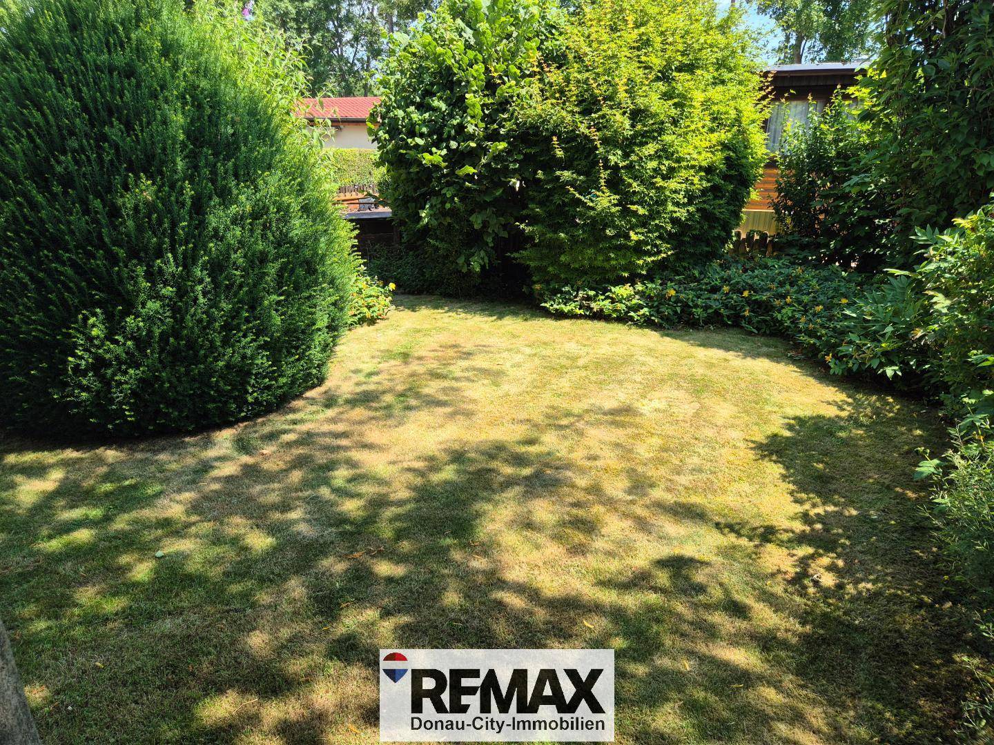 Großer, gepflegter Rasenbereich im Garten, umgeben von hohen Büschen und Bäumen.