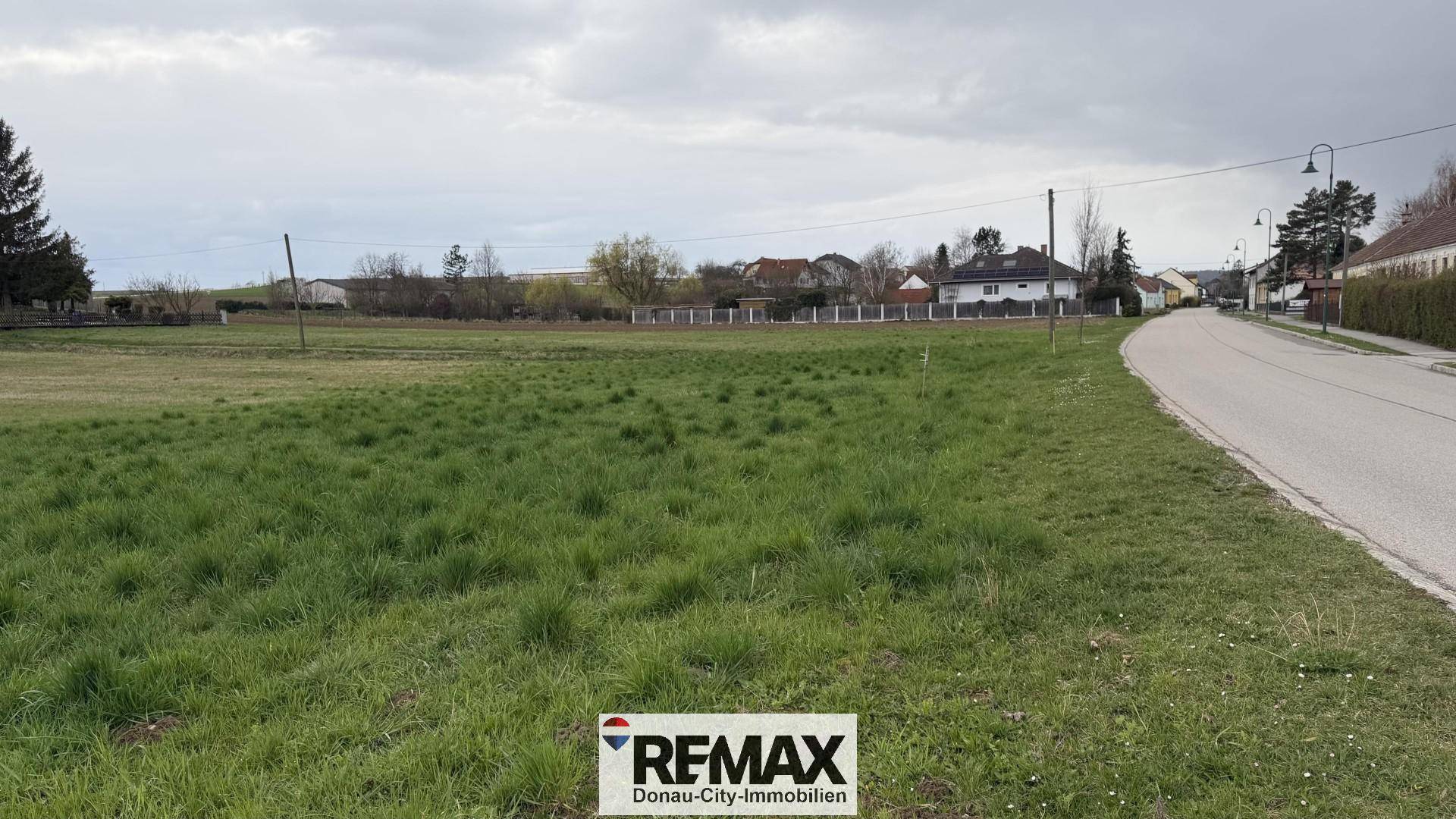 Weitläufige Grünfläche neben einer Straße mit Wohnhäusern in der Ferne unter bewölktem Himmel.