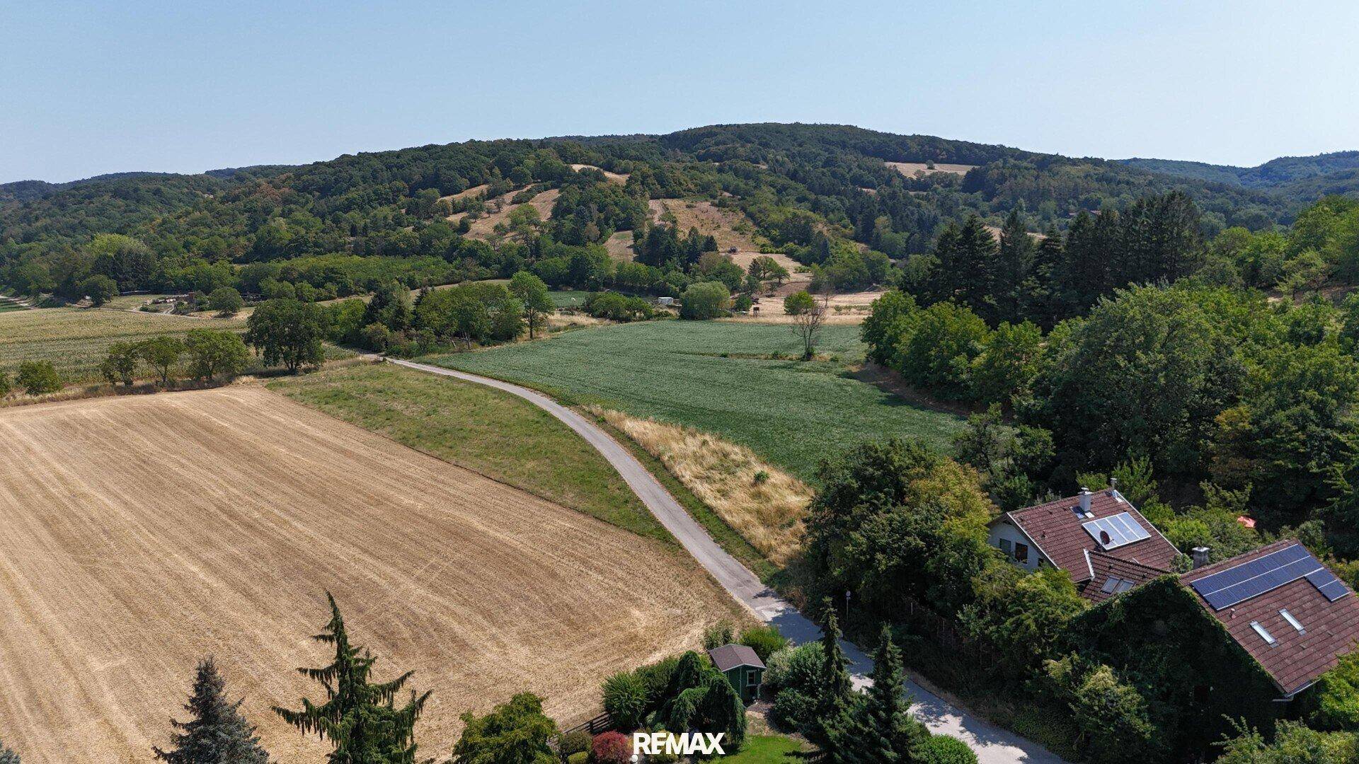Weitläufige Landschaftsaufnahme mit Feldern, Wäldern und einzelnen Häusern unter klarem Himmel.