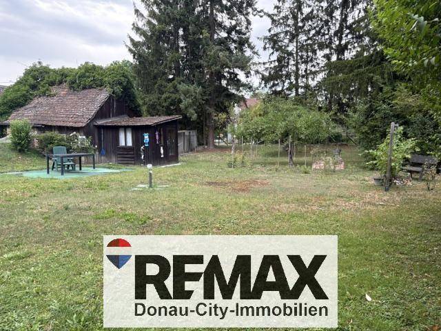 Weitläufiger Garten mit Rasen, einem kleinen Holzschuppen, Sitzgelegenheiten und hohen Bäumen im Hintergrund.