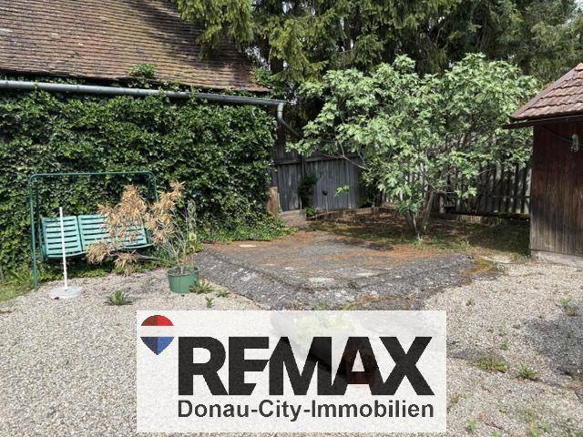 Gepflasterter Gartenbereich mit einer Schaukelbank und verschiedenen Pflanzen unter bewölktem Himmel.